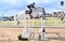 Dolivia R.E Z ridden by Rachel Williamson Awarded Top Mare for the Scottish Branch Ladies Trophy 2026